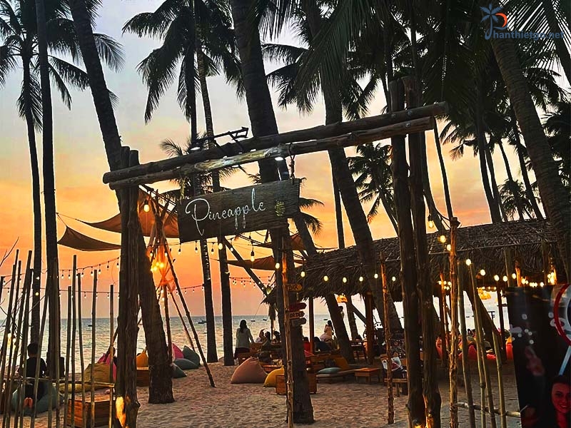 pineapple mui ne1744359444